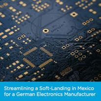Startup-for-Germans-Electronic-Client-in-Mexico