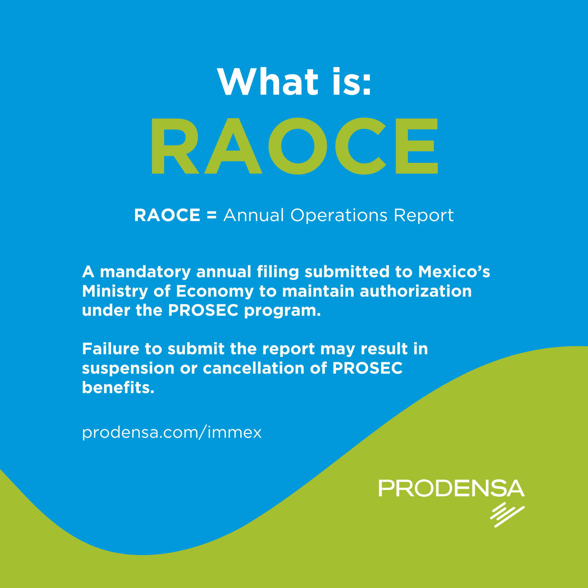 what-is-raoce-annual-report-immex-trade-compliance-mexico
