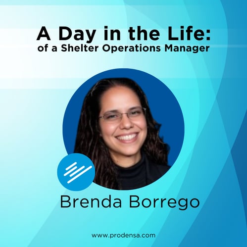 brenda-borrego-a-day-in-the-life-of-a-prodensa-project-manager