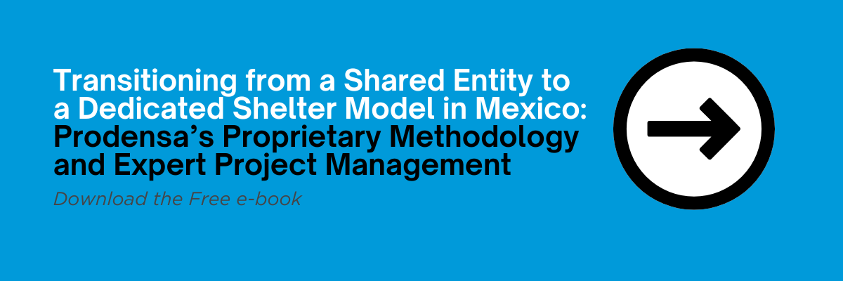 shelter-model-transition-in-mexico-free-ebook