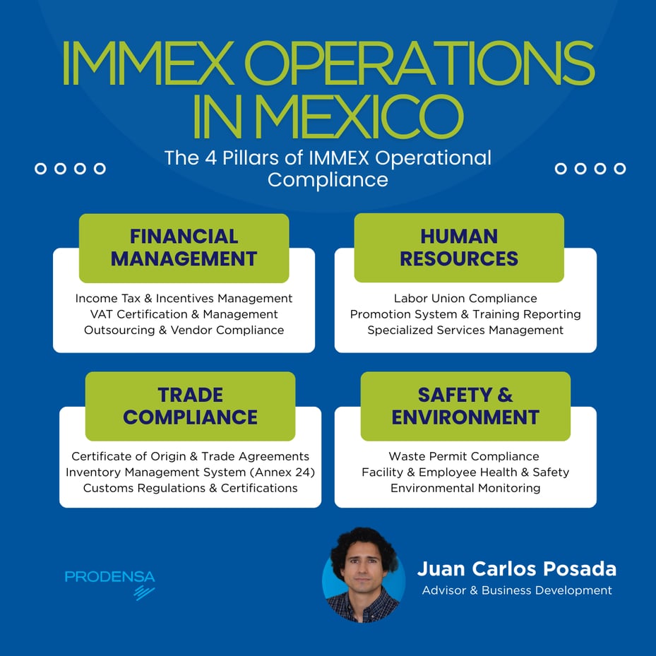 How the IMMEX Program Works: the Framework Explained [2026]