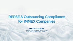 Repse IMMEX-Cover