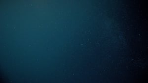 Prodensa-Shelter-Services-in-Mexico