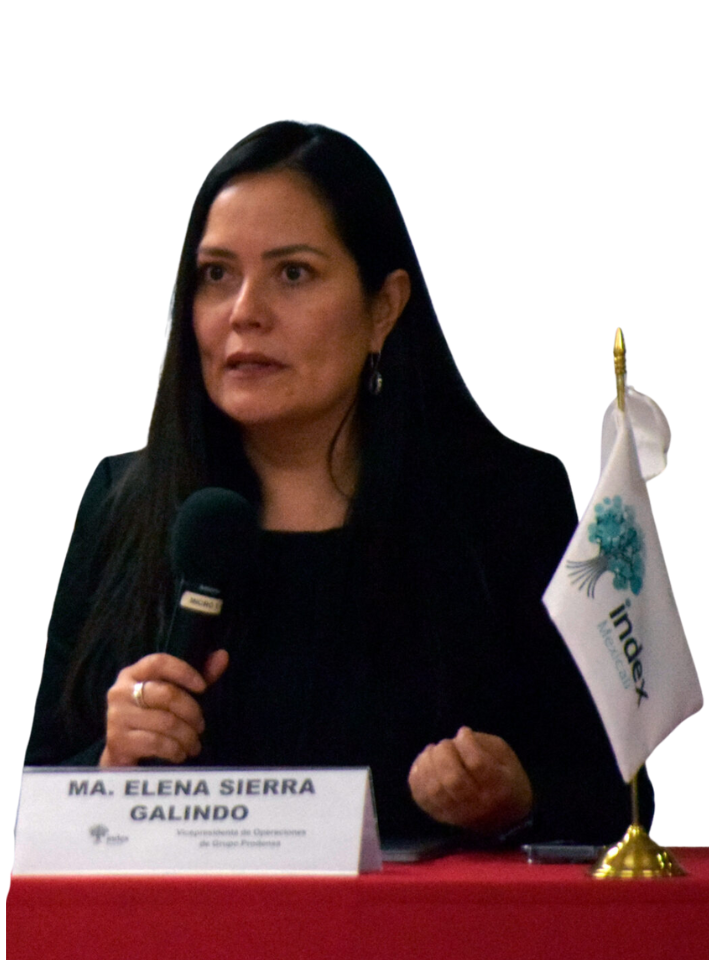 maria-elena-sierra-prodensa-trade-compliance-expert-consultant-advisor-mexico-latam